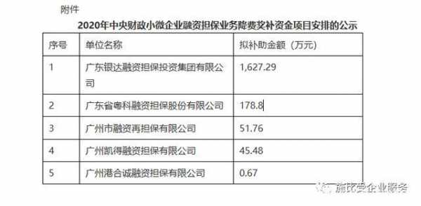 新融资担保费标准（新融资担保费标准是多少）-图2