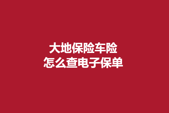 中国大地车险保单查询（大地车险保单查询系统官网）-图2