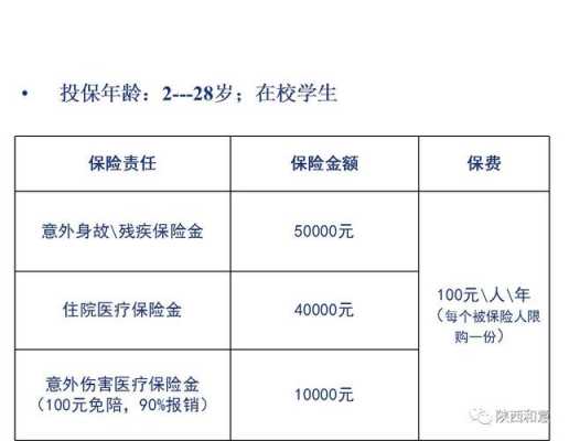 2015版人保学平险（人保学平险保障范围）-图1