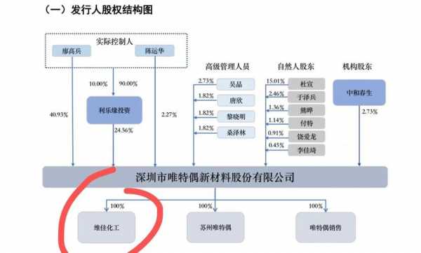 发行人保荐人（保荐机构与发行人的关联关系）-图1