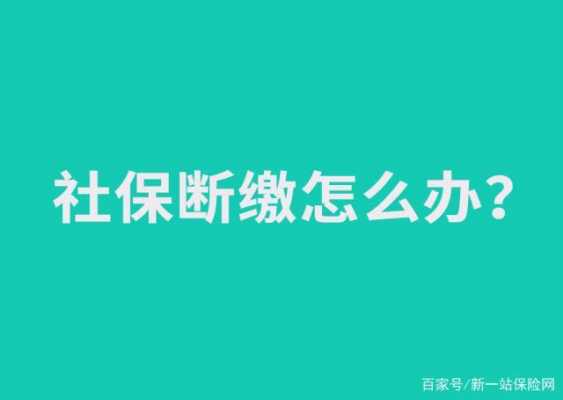 社保费允许税前扣除吗（社保可以作为费用税前扣除吗）-图1