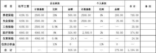 企业社会保费计提比例（企业计提社会保险）-图1