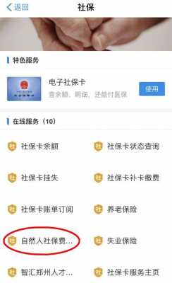 怎么用支付宝缴社保费（如何用支付宝缴纳社保）-图1