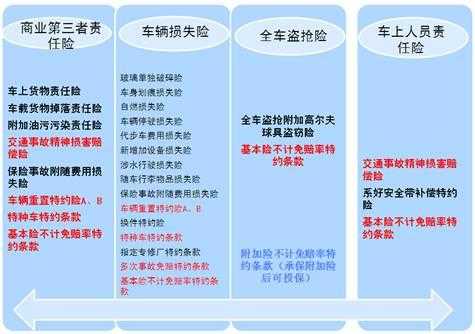 车险疑案怎么办（车险疑问）-图1