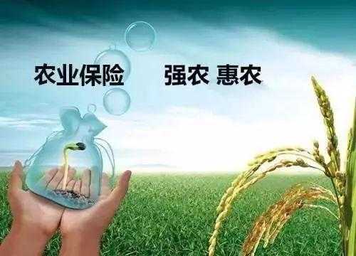 农险保费（农险保费突破）-图1