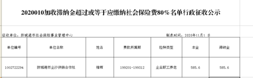 社保费滞纳金封顶（社保滞纳金有没有上限最多可罚多少）-图2