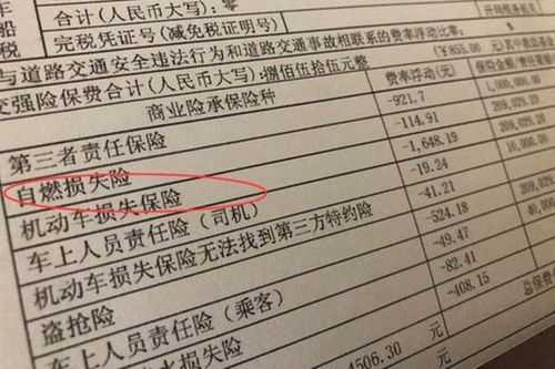 车险盗抢险多少钱（国家规定汽车盗抢险按多少计算）-图3