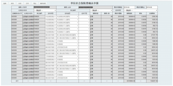 社保费所得税年报（社保费所得税年报时怎么填）-图2