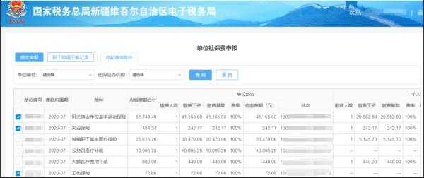 社保费所得税年报（社保费所得税年报时怎么填）-图3