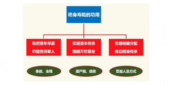 寿险加保费（寿险增加保额）-图2