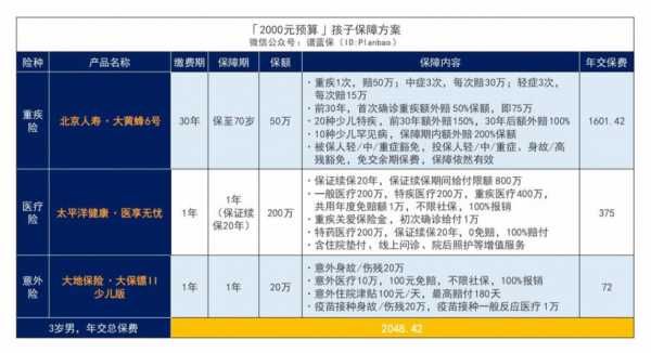 两千元能买什么人保险（两千多的保险是什么险）-图1