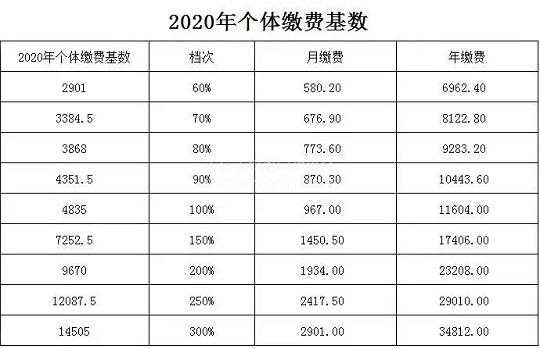 养老是社保费用是多少（养老保险社保每月多少）-图2