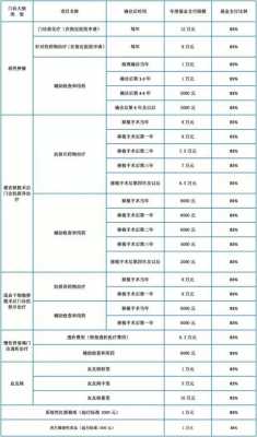 微医保费率表（微医保收费标准）-图2