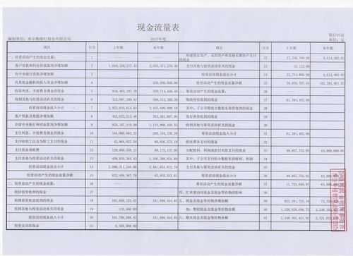 缴社保费的现金流量（缴社保费的现金流量是什么）-图1