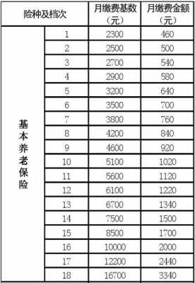 保额与保费的缴纳（保额与保费的缴纳基数）-图3