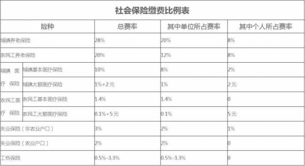 社保费率20%构成（社保费率怎么算）-图2