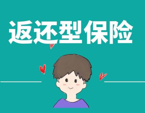 返还保费的是什么保险（返还保费和返还保额有什么差别?）-图2