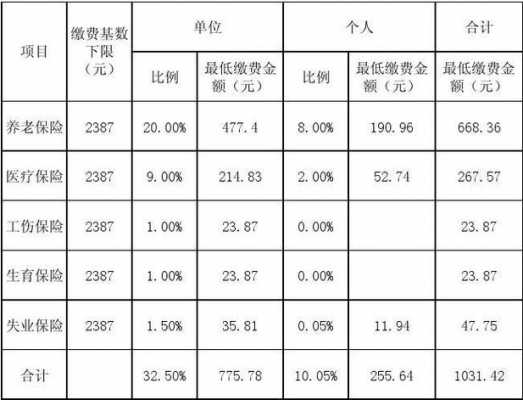 社保费有什么用（社保费作用）-图2