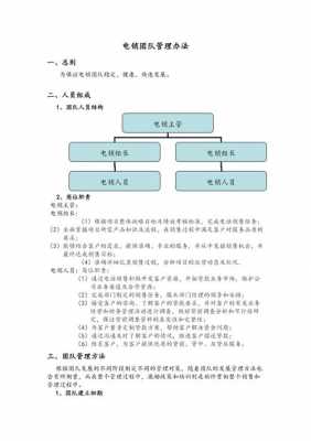 车险电销团队在（车险电销团队长如何管理团队）-图2