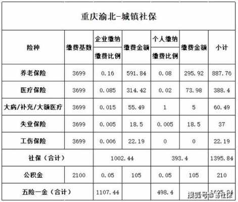 2016重庆保费收入（重庆2020保险基数）-图3