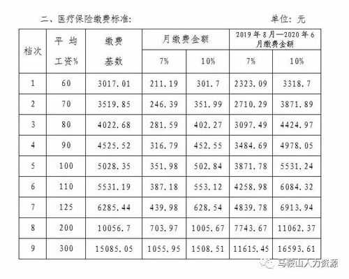 马鞍山保费收入（马鞍山2020年社保价格表）-图1