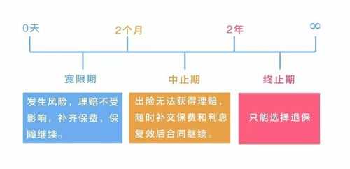 保费宽限期保险法-图2