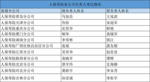 人保集团人事调整-图3