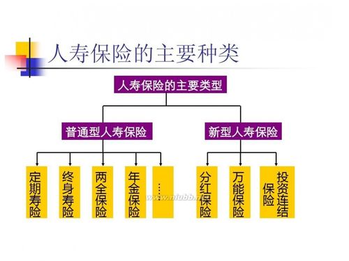 人保险种是有哪些-图2