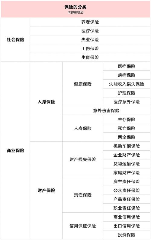 人保险种是有哪些-图1