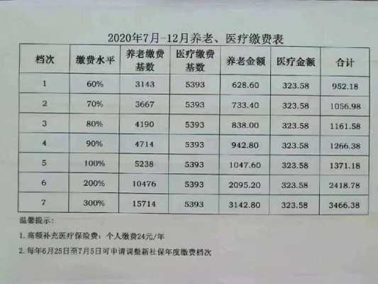 社保费每月的多少号报-图1