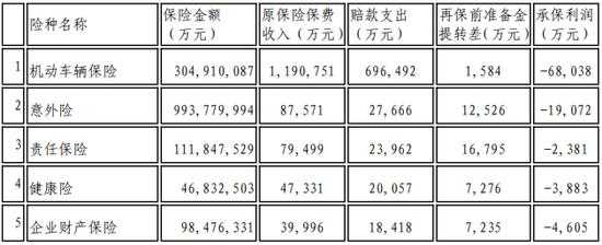 天安财险保费收入-图3