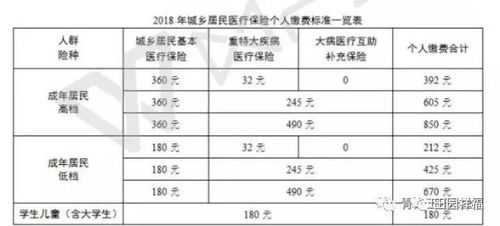 医保费交后几个月生效-图1