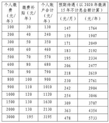 寿险一年保费多少-图2