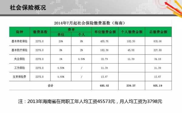 2013年人均保费-图3