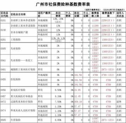 社保费流量选什么意思-图3