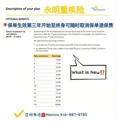 返还保费型保险英文-图1
