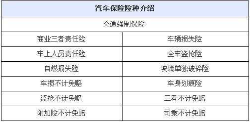 4大车险是什么-图1