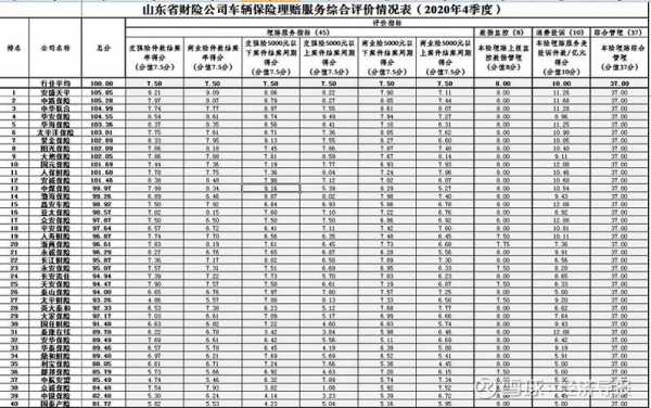 山东车险数据-图1