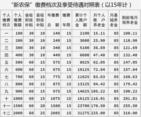 人保意外险赔付标准-图1