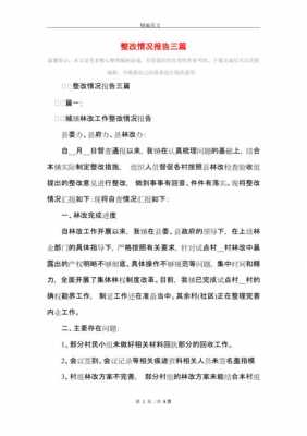 车险销售业绩整改报告-图3