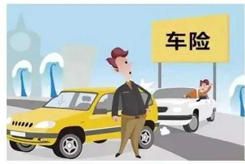 车险是对人还是对车-图3