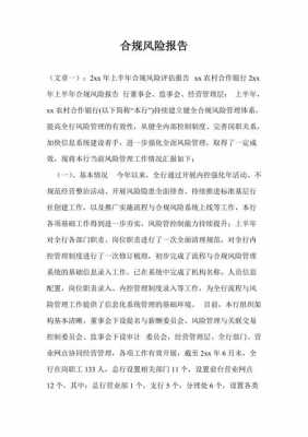 车险合规报告保险公司-图2