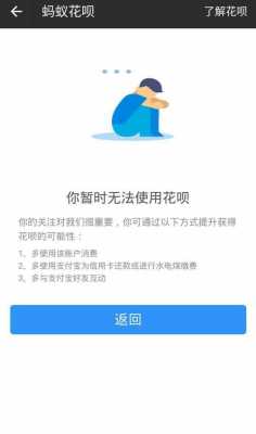 人保可以用花呗吗-图2