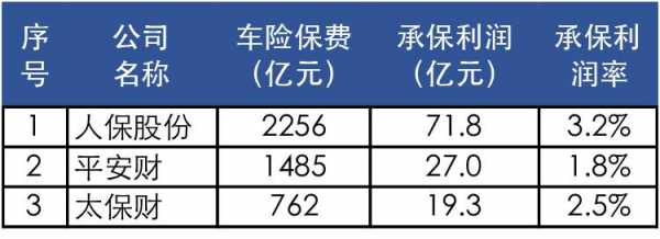 2013年车险市场份额-图2