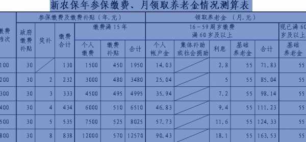 人保财险金农保代码-图3