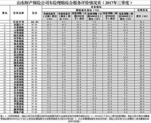 山东车险报告2017-图2